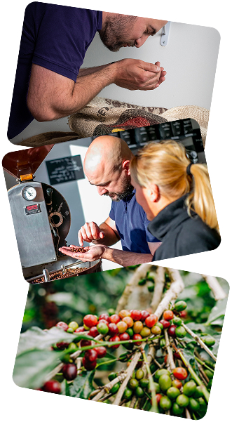 Photo de l'équipe Les Torrefacteurs Français regardant et sentant des grains de cafés.