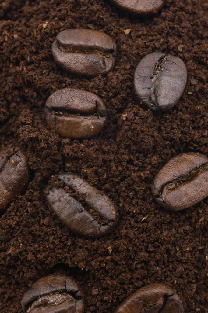 Le café en grain