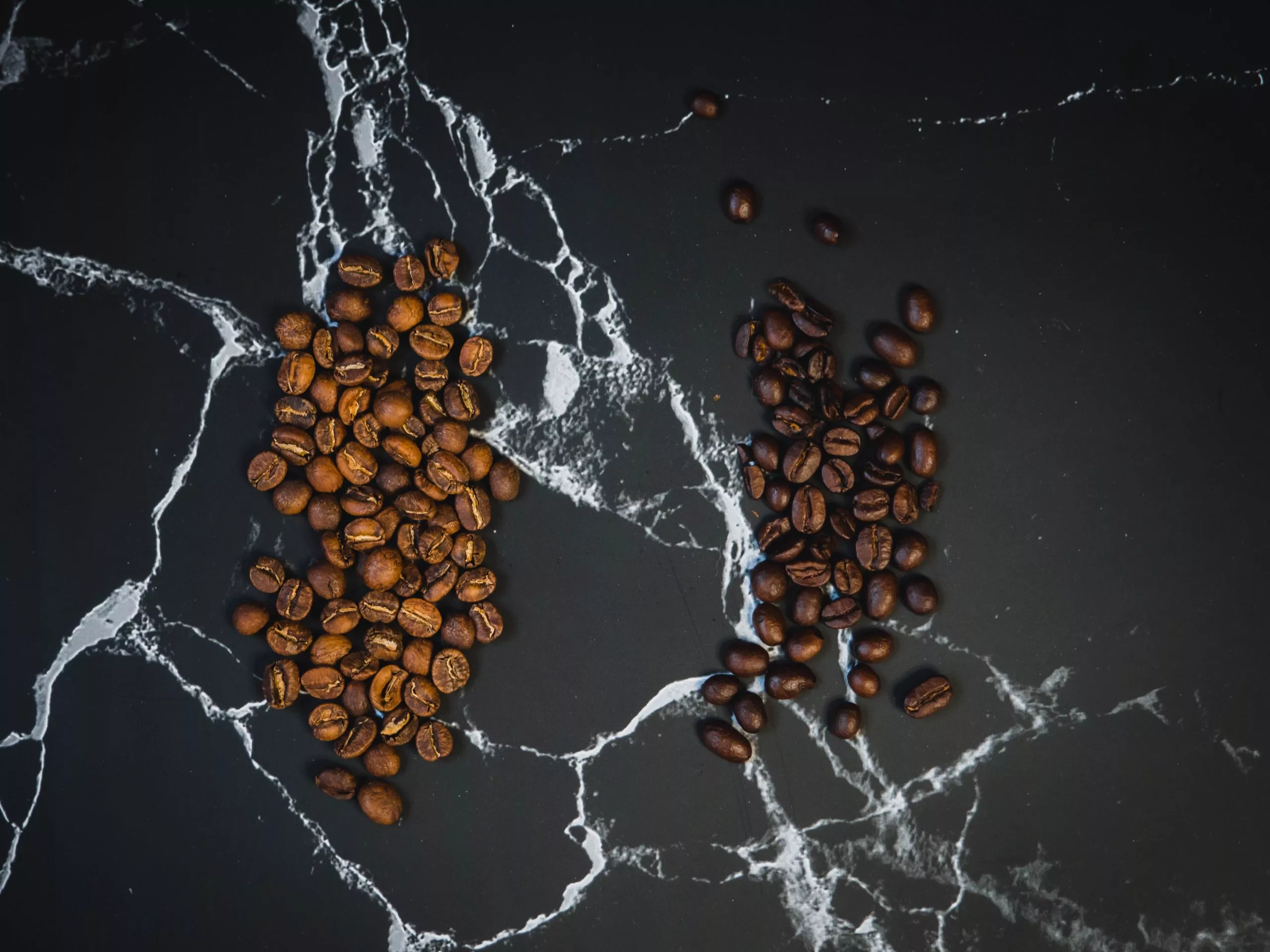 le Robusta et l’Arabica