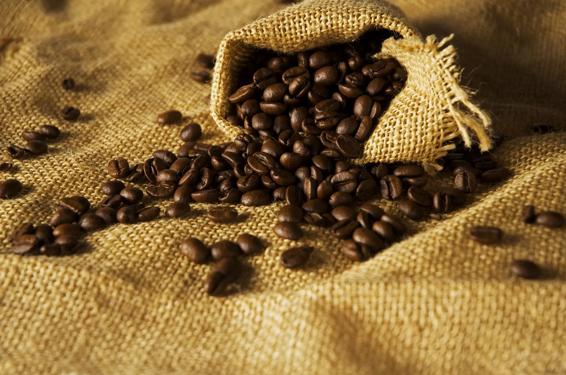 C'est quoi la caféine ?