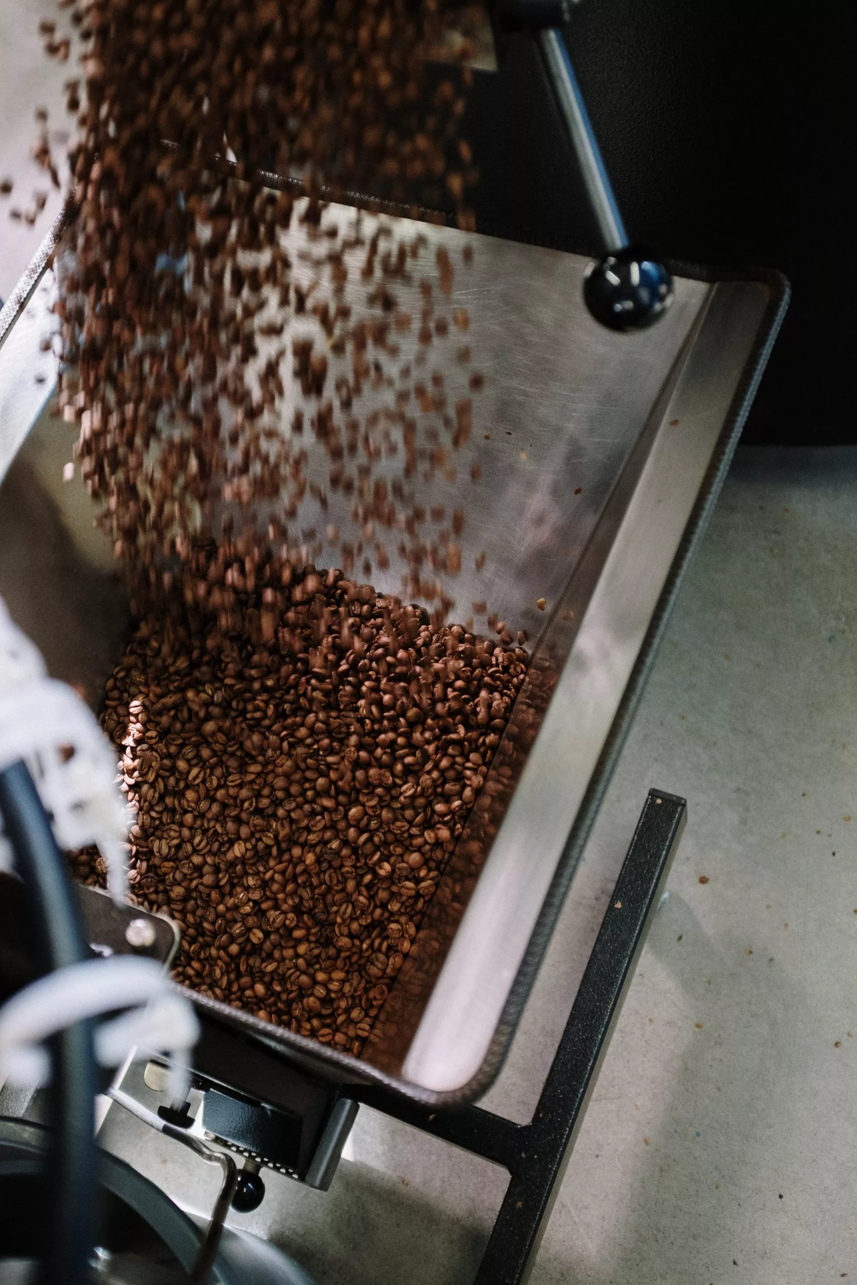 Specialty Coffee Association (SCA) et son rôle dans l'industrie