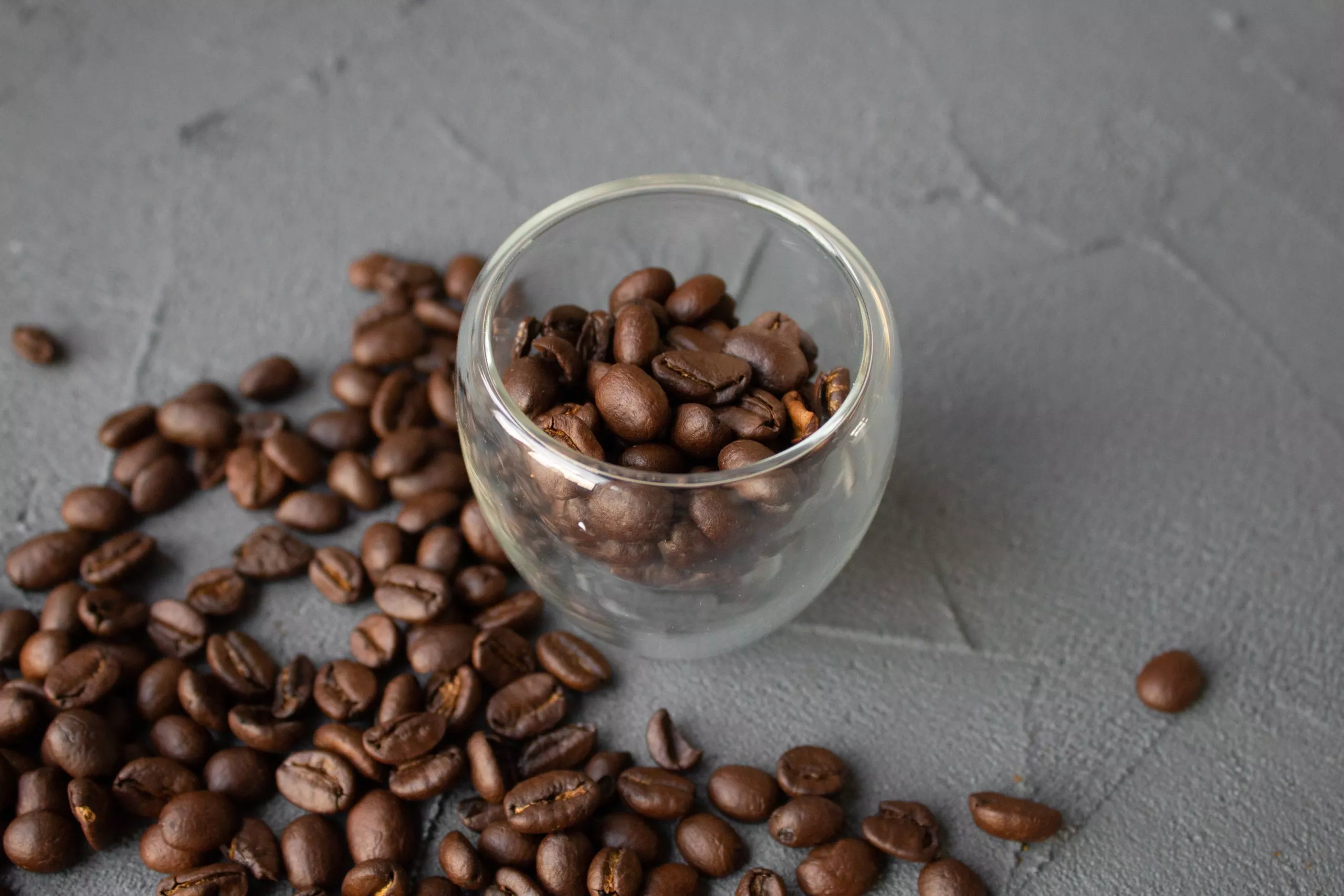 café tasse bodum