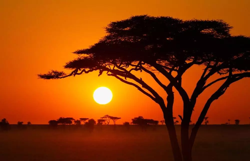 image Afrique