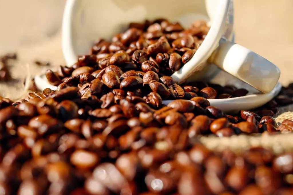 D’où vient le café de spécialité ?