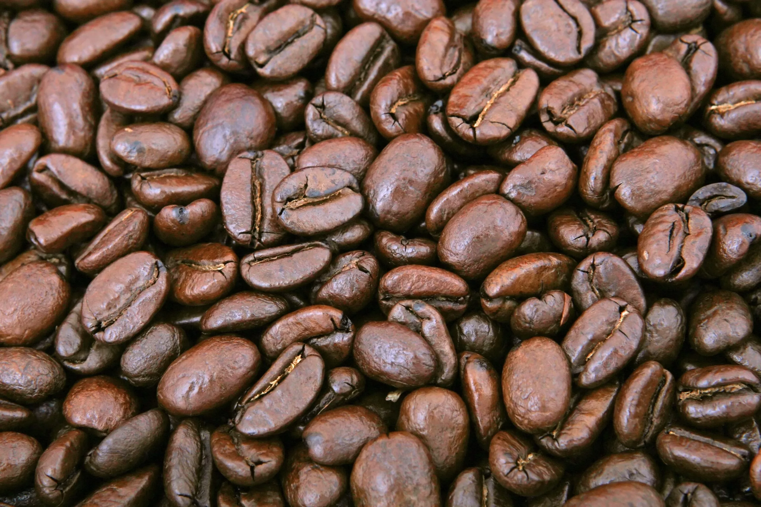 Un café de spécialité