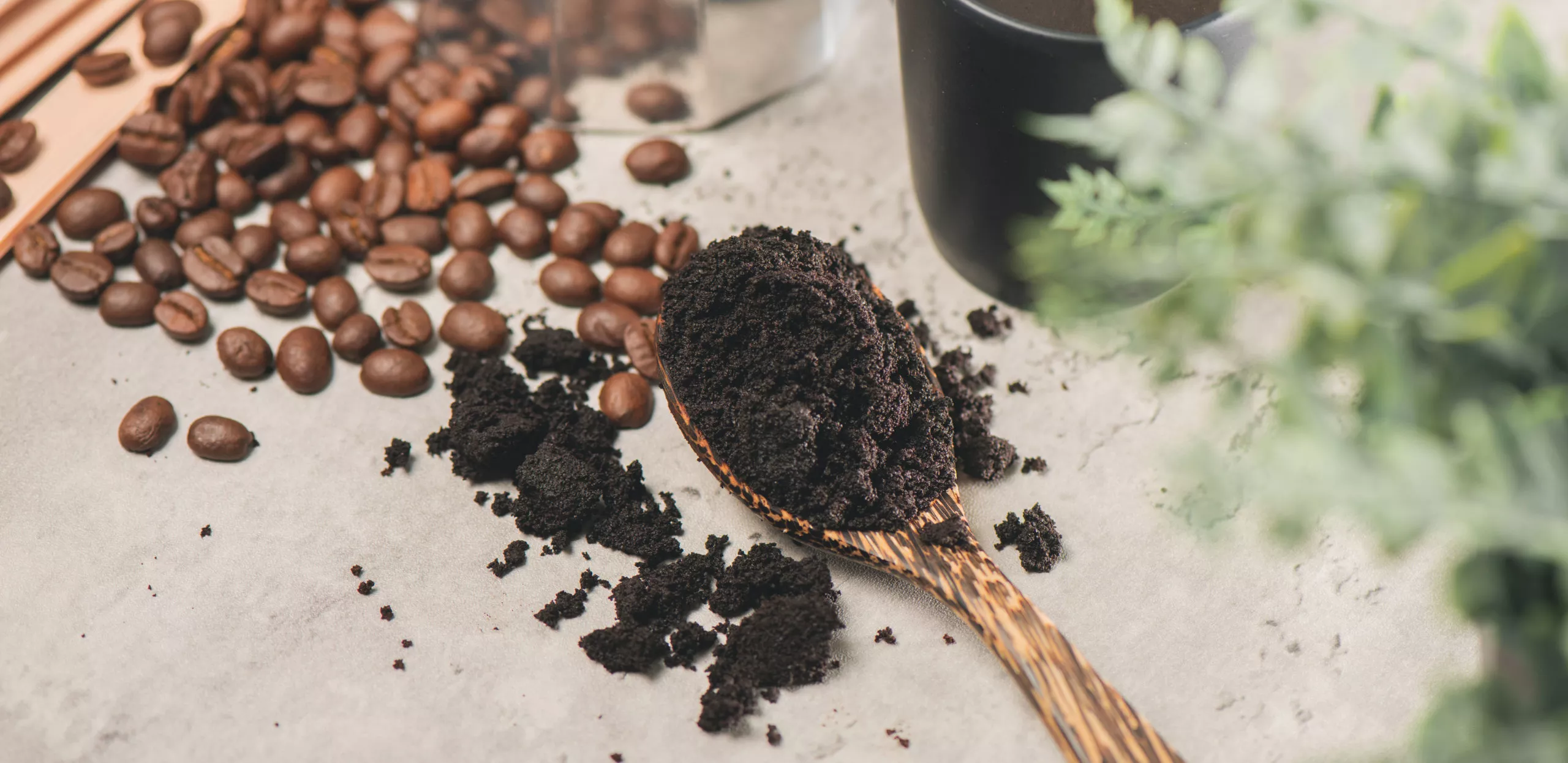 quelle quantité café cuillère