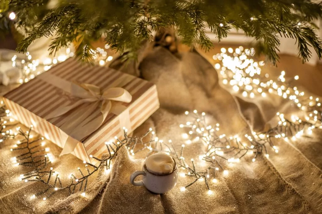 cadeau sous sapin