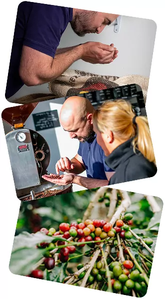 Photo de l'équipe Les Torrefacteurs Français regardant et sentant des grains de cafés.